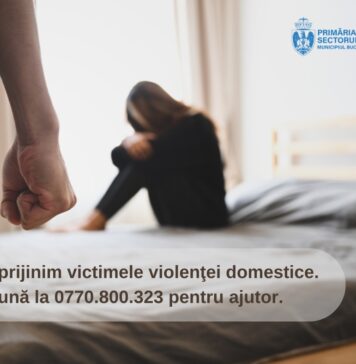 Sprijin pentru victimele violenței domestice în Sectorul 2: Servicii specializate și consiliere pentru un viitor mai sigur