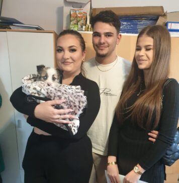 Câți câini au fost adoptați din adăposturile ASPA în primele 10 zile ale acestui an