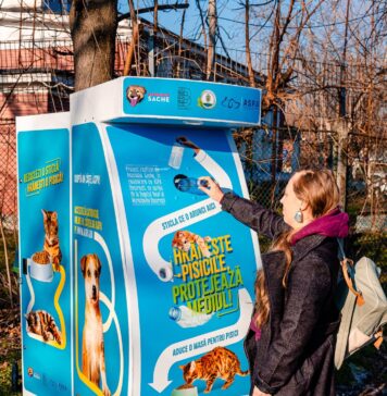 FOTO/ Mai multe dispozitive inteligente pentru hrănirea pisicilor fără stăpân, amplasate în parcul Tineretului