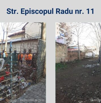 Primăria Sectorului 2 a igienizat mai multe locuinţe insalubre / FOTO