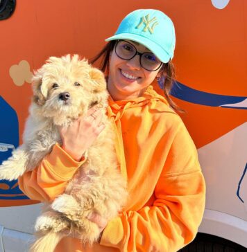 Protecția Animalelor CJ Ilfov organizează sterilizări gratuite în Berceni