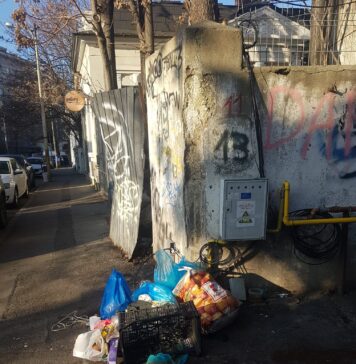 Poliția Locală Sector 2 a găsit mai multe locuri unde oamenii depozitau ilegal deșeuri