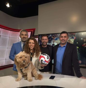 O minge semnată de legende ale fotbalului, scoasă la licitație pentru câinii din Buftea și Brănești