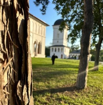 Consiliul Județean Ilfov celebrează Sfinții Trei Ierarhi: Vasile cel Mare, Grigorie Teologul și Ioan Gură de Aur