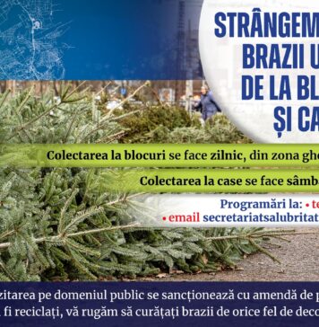 Primăria Sectorului 1 anunță că se adună gratuit brazii de Crăciun de la blocuri și case