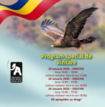 Programul special de vizitare al Muzeului Antipa în perioada 24-26 ianuarie 2025