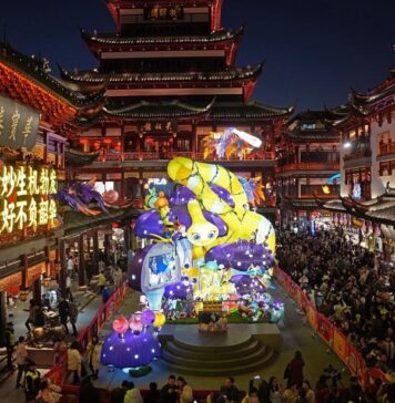 Allure of Spring Festival and new visa policy attract foreign visitors to see the real China