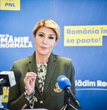 „Cine era ministru al Culturii în iulie 2024, când au fost trimise artefactele în orășelul aflat pe locul 51 în topul localităților din Olanda? Raluca Turcan”, spune Narcisa Iorga