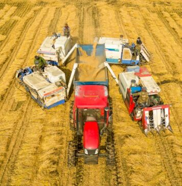 China’s new push for rural reform, revitalization