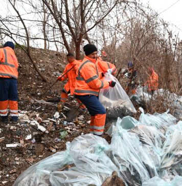 Primăria Sectorului 2 continuă curățenia pe strada Rodica