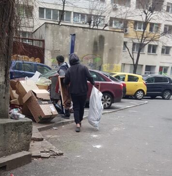 Depozitele de deșeuri în Sectorul 2: Contrast între zonele cu probleme și cele în care cetățenii se implică