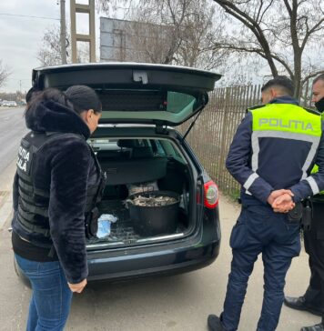 Polițiștii locali din Sectorul 2 și din Pantelimon au prins doi bărbați care aveau 60 kg de pește pescuit ilegal