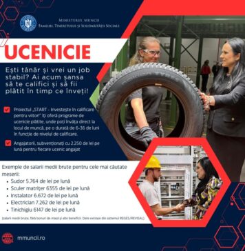 Ministerul Muncii: Programe de ucenicie pentru tinerii de sub 30 de ani, derulate printr-un proiect de 30 de milioane de euro