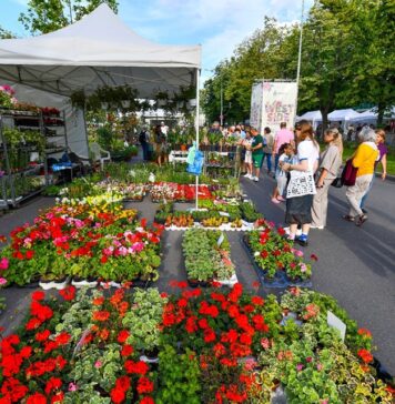 Au început înscrierile pentru comercianții care vor să participe la West Side Flower Fest 2025