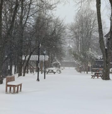 Târg de Dragobete în perioada 22 – 24 februarie, la Muzeul Satului