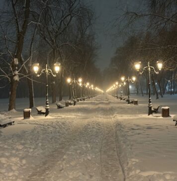 Weekend alb în Ilfov: Distracție pe zăpadă la Mogoșoaia