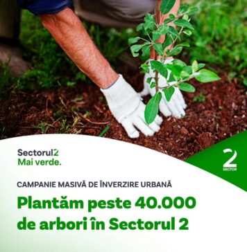 Campanie de regenerare a spațiilor verzi prin plantarea a 40.000 de arbori în Sectorul 2