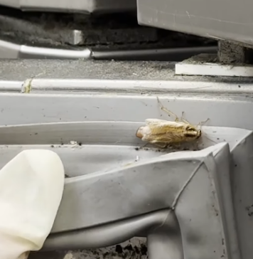 17 operatori economici din AFI Cotroceni, sancționați pentru nereguli grave, anunță ANPC / Au fost date amenzi de peste o jumătate de milion de lei