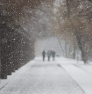 Stratul de zăpadă ar putea ajunge până la 40 cm în București, potrivit prognozei speciale ANM