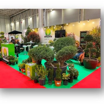 TotulPentruCasaTa2025 / Conceptul home & deco dedicat profesioniștilor și pasionaților de design, construcții și amenajări