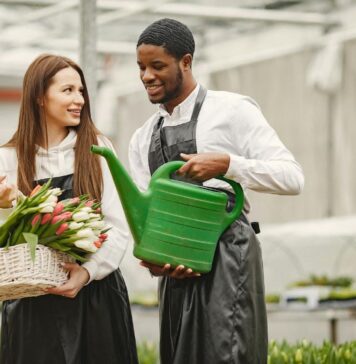 Locuri de muncă sezoniere în Olanda: Cu cazare și transport asigurate