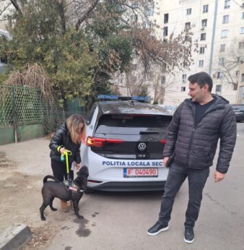 Amenzi de până la 500 de lei pentru proprietarii de câini care nu strâng excrementele de pe domeniul public. Primăria Sectorului 3 a demarat o campanie de informare