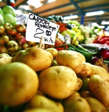 „Și brusc, societatea s-a împărțit iar în două: într-o parte vacciniștii progresiști, cei pro-război și anti orice urmă de identitate, iar de partea cealaltă oamenii normali, care se simt călcați pe grumaz, sufocați, furați oficial și cărora le-a fost luat totul. Iată imaginea crâncenă: într-o parte cei care s-au săturat, care efectiv nu mai pot, iar în partea cealaltă tot niște amărâți, dar atât îndobitociți de propagandă încât le explică celorlalți de ce sclavia e bună, de ce „hoția practicată de ăia e corectă” și de ce nu ești civilizat atunci când îți afirmi dorința legitimă de a nu mai fi jefuit”, spune Dan Diaconu