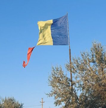 „Conducătorii României se angajează să trimită bani, arme și poate și trupe pentru ca în țara vecină să continue măcelul. De ce? Haosul le convine. În haos popoarele pot fi mai ușor controlate, mințite și speriate. În haos se pot ascunde urmele corupției și ei pot continua să se îmbogățească pe spinarea celor dezorientați si îngroziți de ziua de mâine”, spune acad. Eugen Mihăescu