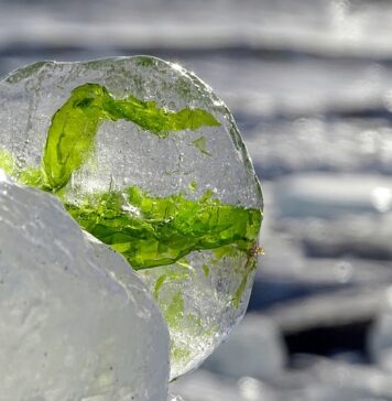 ANM a actualizat prognoza specială pentru București. Minimele vor ajunge chiar și la -18 grade Celsius