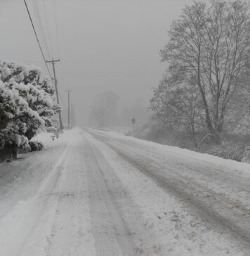 ANM a prelungit și extins codul galben de ninsori până miercuri dimineață: Zece județe și Capitala, sub avertizare