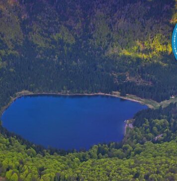 Județul Harghita, desemnat Regiunea Gastronomică Europeană 2027