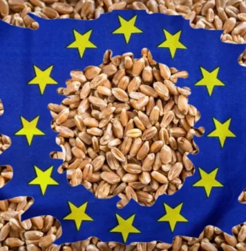 Globaliştii cer, ca reacţie la acţiunea anunţată de Călin Georgescu, ca pe 10 februarie să fie postate mesaje pro-europene, iar la cumpărături românii să aibă la ei steagul UE