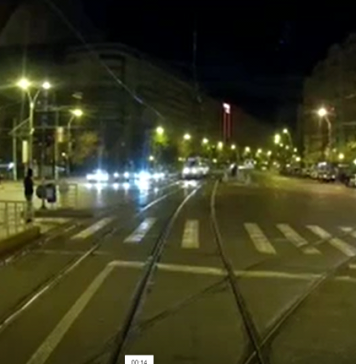 Vulpile își fac apariția tot mai des în București.