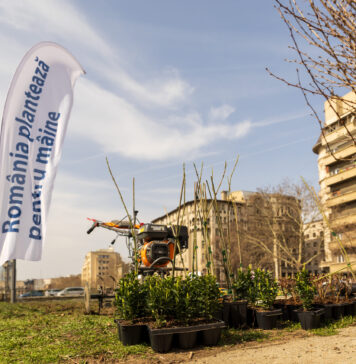 Kilometrul verde al Dâmboviței – zona de pe malurile râului revitalizată cu 2.355 de arbori, arbuști și plante perene