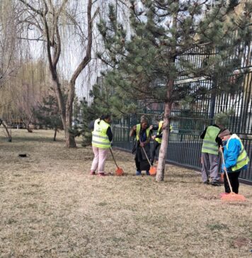 Primăria Sectorului 2 pregătește spațiile verzi pentru primăvară