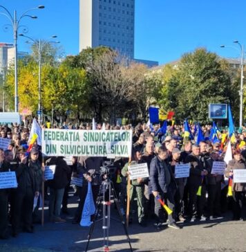 Miting al silvicultorilor în Bucureşti: Guvernul a tăiat salarii şi drepturi consfinţite prin legi, umilind 25.000 de angajaţi din sectorul silvic românesc