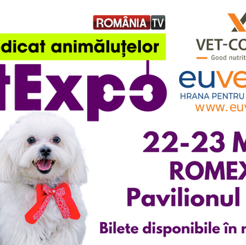 Unde fugim în weekend? La o paradă a câinilor veseli, un festival al cafelei sau o dezlegare de blesteme de neam