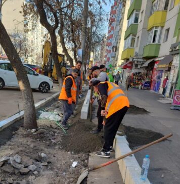 Lucrări de îmbunătățire pe Calea Rahovei: Un pas important spre un mediu urban mai sigur și mai verde