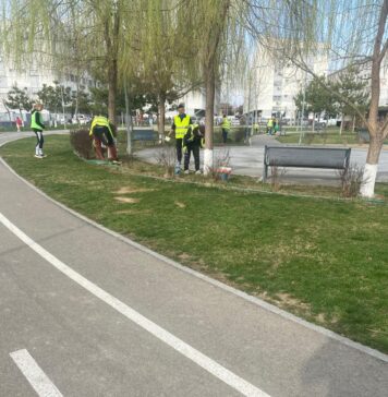 Primăria Chiajna a început igienizarea parcurilor și a locurilor de joacă