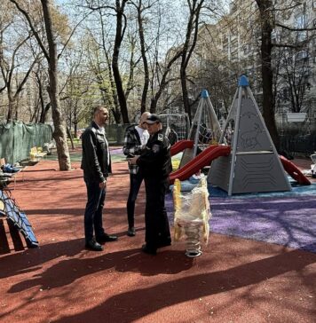 Angajaţii Direcţiei de Mediu vor fi însoţiţi de poliţişti locali, în București, când verifică defrişări sau toaletări ilegale