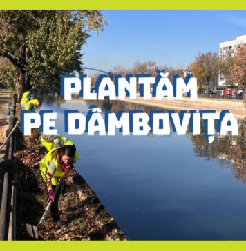 Asociația Parcul Văcărești și ALPAB, acțiune de plantare pe malul Dâmboviței. Unde se pot înscrie doritorii!