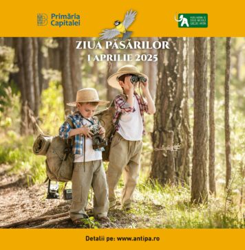 Ziua Internațională a Păsărilor este sărbătorită, marți, la Muzeul Antipa