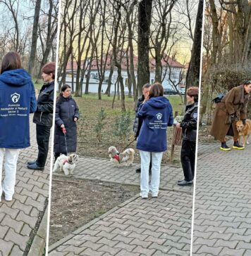 Polițiștii locali din Sectorului 1 îi verifică pe stăpânii necivilizați! A fost demarată campania „Prietenul la nevoi se cunoaște”
