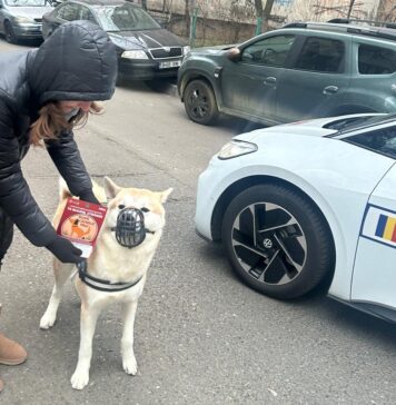 Aproape 200 de proprietari de câini din Sectorul 3, sancționate de polițiștii locali