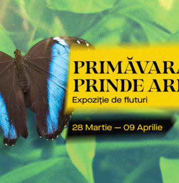 Expoziție inedită de fluturi tropicali la Mega Mall. Accesul la expoziție este gratuit, pe baza aplicației SPOT