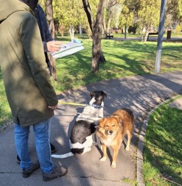 Campania „Te rugăm, strânge după câinele tău!” din Sectorul 3/ 7.360 de materiale informative distribuite vs. 294 de sancțiuni contravenționale