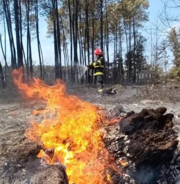 Firefighters put out fire covering seven hectares of vegetation in Neamt County