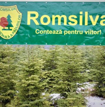 Directorul Romsilva: Niciodată nu am înregistrat pierderi financiare; bonusurile de pensionare nu se mai acordă din 2025
