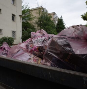 Primăria Sectorului 3 se laudă că anul trecut a „eradicat” mai multe focare de infecție