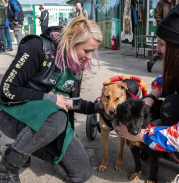 Tocăniță specială, la Adăpostul Speranța, de 8 martie: Dedicăm această zi tuturor femeilor care susțin cauza câinilor fără stăpân